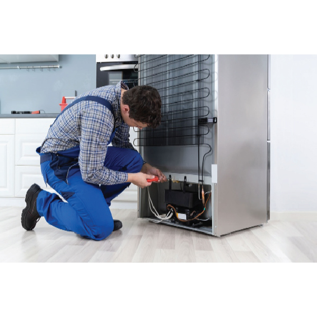 Expert Fridge Repair Services